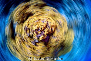 "MAELSTROM"
Nikon D700, Nikon 16mm f2.8
1/6 f22 ISO 100... by Isabella Maffei 